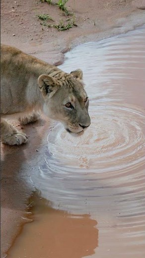 NAMIBIA, THE DEVIL'S CAULDRON. deadliest journey. #shorts #travel #namibia