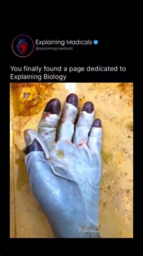 Dark Web Clips on Instagram: "This short video clip, which appears to be a lighthearted or DIY-themed demonstration, shows a person replacing a standard shower head with an LED light bulb. The video begins with a quick, shaky shot before settling on a person's hand pointing at a wall-mounted shower head that is actively spraying water. The camera then cuts to a close-up of a hand holding a white, modern-looking LED light bulb over a sink basin. The person then takes the light bulb and, in a comi