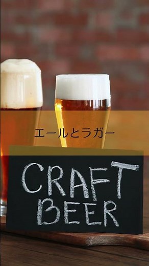 Craft Beer for Beginners | Essential Basics You Need to Know