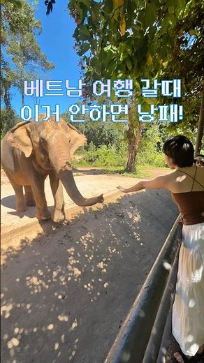베트남 여행 입국신고서 시행!?