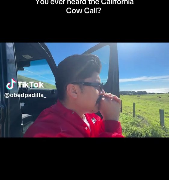 Mastering the California Cow Call