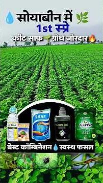 First Spray on Soybean – Healthy Start, Better Growth! 💚 #shorts