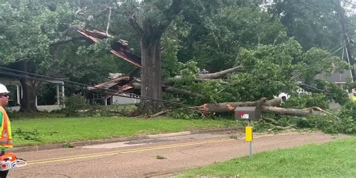 Storms knock down trees, cause damage in Nacogdoches