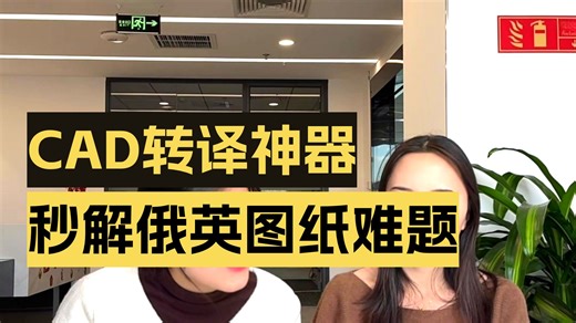 原来cad图纸还可以一键翻译，外语cad翻译教程来了！