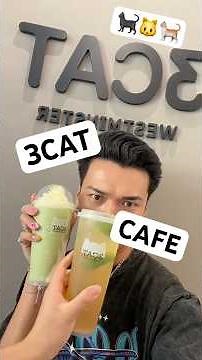 THE CUTEST SPOT! 🥰🐱✨ #3cat #boba #socal #westminster #orangecounty #occafe #cafe #matcha #drinks
