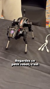 Voici Sirius le chien de garde robotique ! #robot #sirius | Frandroid