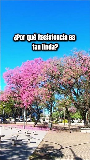 Este lugar de Chaco parece irreal 🌸