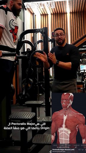 Dips Exercise: Target Different Muscle Groups with Small Movements