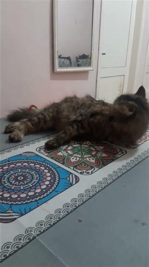 berkah sllu bg org2 yg sdh subscrebe