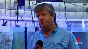 18K views · 15 reactions | A marine biologist has captured the first Great Barrier Reef documentary in 3D. www.7plus.com.au #7News | 7NEWS Cairns | Facebook