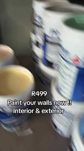 Paint Your Walls Now! Interior & Exterior | Platinum Paints SA