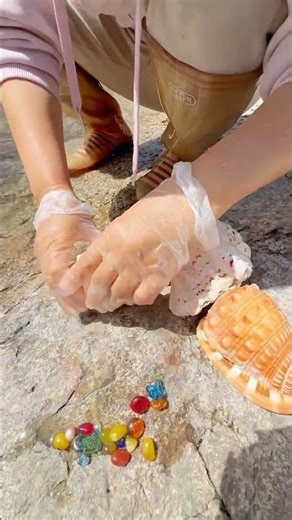 Sea Agate and Sea Crystal: Finding Hidden Treasures on the Shore and rare pearl