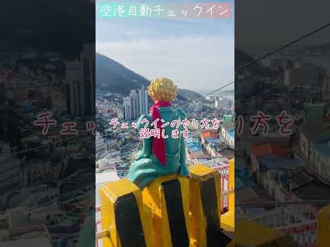 How to use the airport self-service check-in (KIOSK)