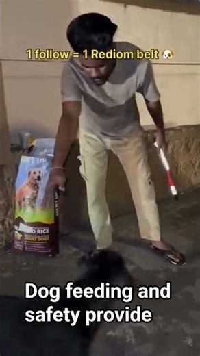 dogs feeding and safety profile provide reflector safety ek bar ine Masoom movie bhi Dhyan do