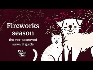 The scariest night for your pet: fireworks survival tips