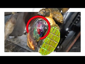 COW'S HOOF SPRAYING PUS ... HUGE RELIEF & SATISFYING RECOVERY?