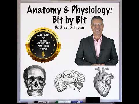 Muscle Tissue Part 1 - Episode 14