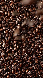 8.3K views · 148 reactions | Meet our ✌️new holiday classics: the Irish Cream Americano and Irish Cream Cold Brew. Choose hot or cold, topped off with vanilla sweet cream cold foam and a dash of dark cocoa. Sip, swirl and cheers! | Starbucks Canada | Facebook