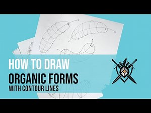 How To Draw Organic Forms With Contour Lines