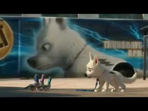 The NY Pigeons of Bolt