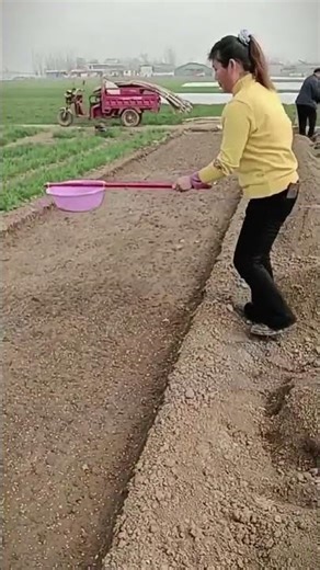 Innovative Seeding Techniques in Action#seeding #agriculture #farming #planting