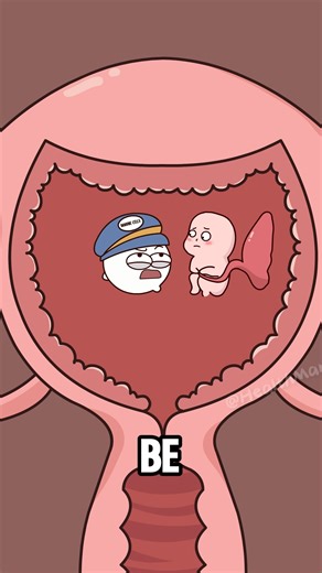 Sophia Smith on Instagram: "Why do pregnant women experience morning sickness?#shortsvideo Morning sickness, medically known as nausea and vomiting during pregnancy, is one of the most common symptoms in early pregnancy. The medical community generally believes it is the result of multiple factors, not a single cause. The main cause is the rapid change in hormone levels. Human chorionic gonadotropin (hCG): This hormone is secreted by the placenta after conception, and its levels rise rapidly. Th