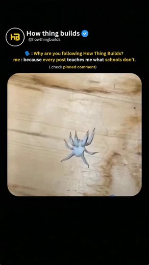 How Thing Builds on Instagram: "Ever wondered what a real-life zombie infection looks like in nature? Because this spider is showing the final stage of one of the strangest and creepiest parasites on Earth. This isn’t just a dead spider — it’s a spider taken over by a parasitic fungus similar to Cordyceps, the infamous “zombie fungus.” Once a tiny fungal spore lands on the spider, it grows inside the body, slowly replacing the spider’s tissues while staying completely hidden. But the craziest pa