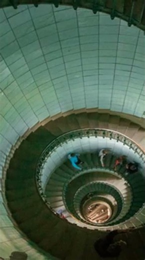 The Unsolved Mysteries of Evolution That Could Change Everythi #Shorts