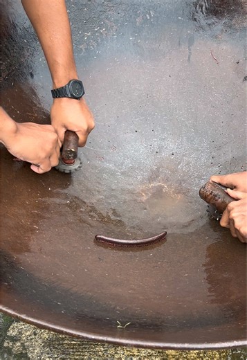 Beyblade Challenge: Navigate the Millipede Obstacle