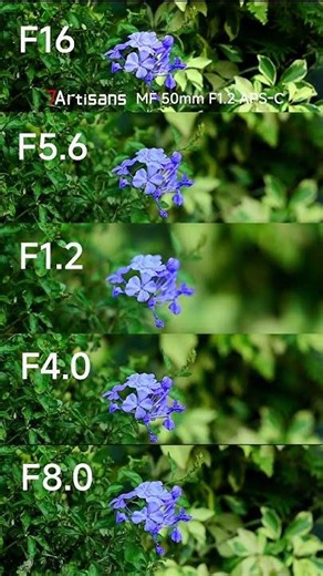 See how 7Artisans MF 50mm F1.2 APS-C transforms the background as the aperture changes