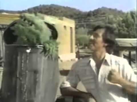 Sesame Street #811 - "It's a Wonderful Place"