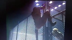 3.9K views · 116 reactions | When watching this clip, remember #WWF cage match rules: Escaping the cage (over the top or through the door) is the only way to win. (Source: @NINaylor) | Gary Michael Cappetta | Facebook