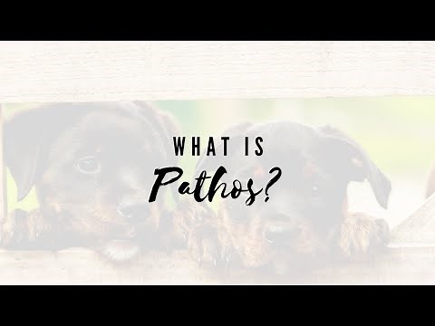 What Is Pathos?