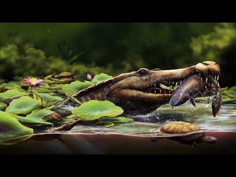 Meet Egypt’s Oldest Long Snouted Croc! 🐊