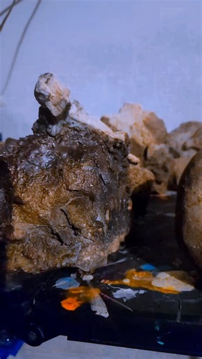 Brian Patterson on Reels