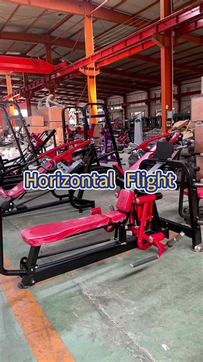 horizontal flight machine #fitness #fit #fittok #fitnessmotivation #gym #gymtok #chestworkout #workout #muscle #bodybuilder