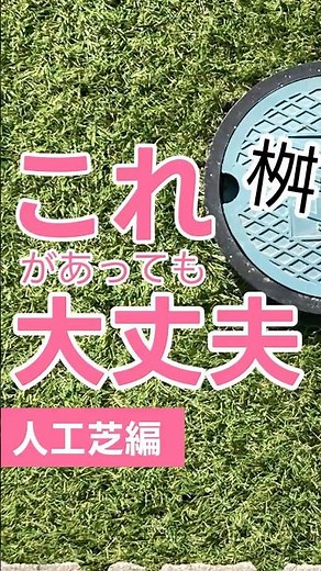 人工芝、庭に桝があっても綺麗に敷けます！ #外構diy #ふわふわターフ #家づくり #お庭デザイン #防草シート
