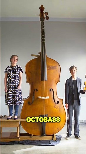 The Giant Musical Instrument