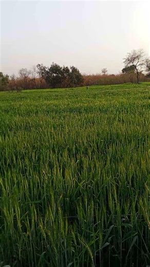 Beautiful view of environmental in Ramadan #itsbeautiful #bmw #uk