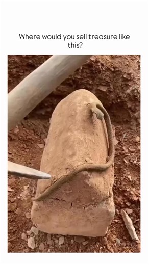 Motivation Rasel • 動機 on Instagram: "The video shows a person using a shovel to unearth and crack open a clay-encased lump from reddish soil, revealing coiled gold bracelets worth potentially thousands based on similar antiquities valued at $5,000–$20,000 per piece in recent auctions. an account blending agriculture and market insights, the query engages 70 replies debating sales venues like Dubai auctions or Temu, reflecting real-world challenges in appraising illicit or unverified treasures. E