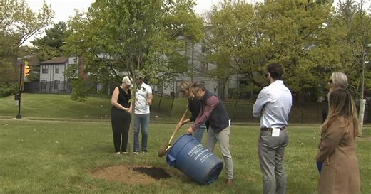 Allentown celebrates Arbor Day with community tree plantings and festivities
