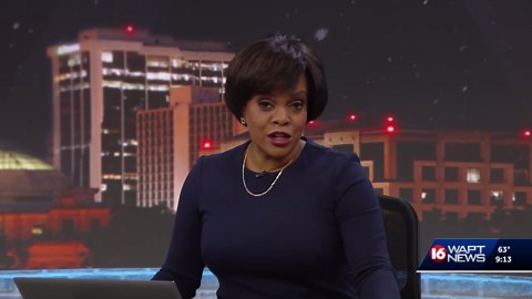 PETA files complaint over Mississippi monkey truck crash, citing animal welfare violations