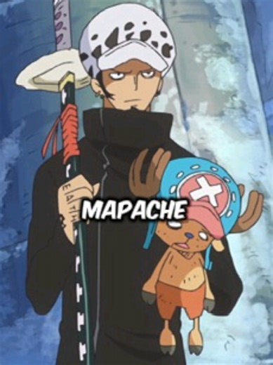 El día que Chopper se convirtió en un mapache