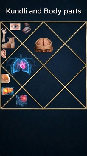 12 Houses of Kundli and your body parts #astrology #jyotish