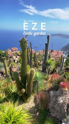 The Exotic garden in Èze 🌵🇫🇷 #eze #cotedazur #frenchriviera #CotedAzurFrance #france #provencealpescotedazur | Julianontheroute