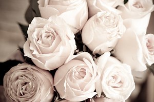 Best Mother's Day Brunches & Activities: Santa Cruz & Beaches