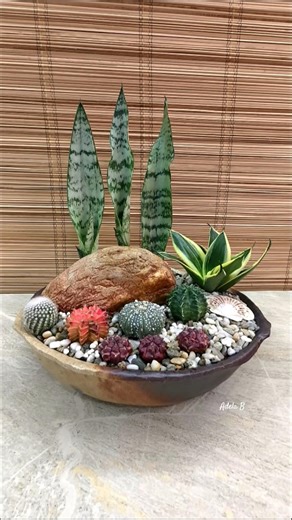 Sansevierias & Cacti Arrangement with Brown Accent Table Decor🌵#sansevieria #cacti #outdoordecor