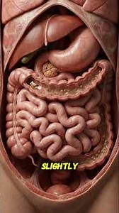 This Habit Can Slow Your Digestion ❄️🍽️ #healthawareness #learnonyt #bodyreactions #digestivehealth