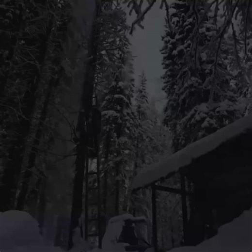 Protecting my off-grid log cabin's food from bears during a storm while living alone. | Wildlife Survival