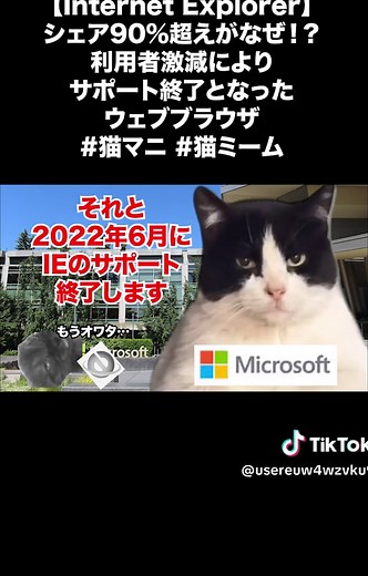 TikTokでへいるまんさんをチェック！